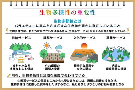 水重要性|水環境および淡水生態系の保全について